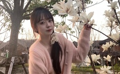 魅力研习社百度影音